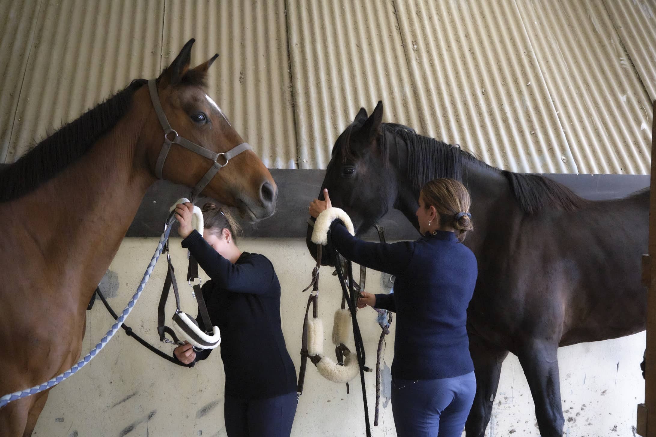 pull équitation laine cavalier et cavalière